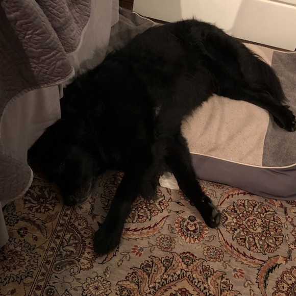 Meet your Posher, Jason - Picture 6 of 7